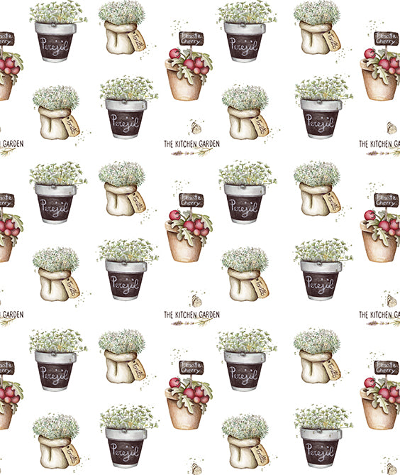 Papel pintado - Hierbas Aromáticas en Macetas