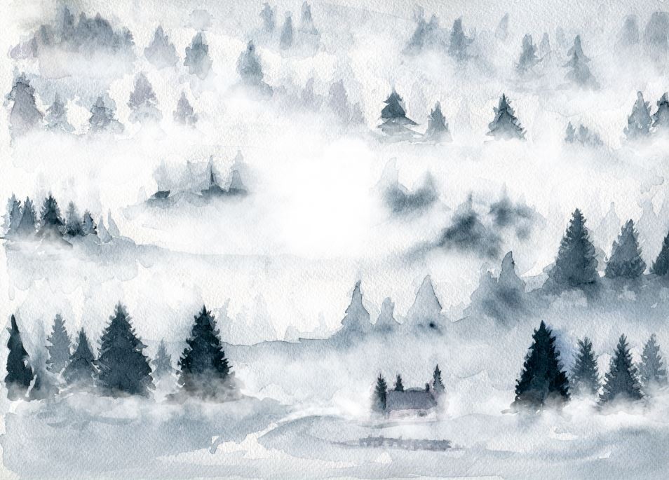 Mural de papel pintado - Niebla en el bosque