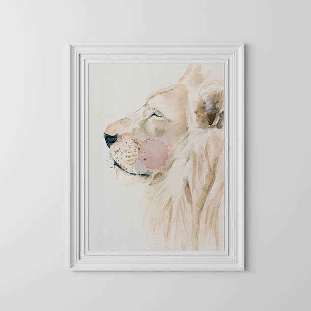 Lámina - León Africa
