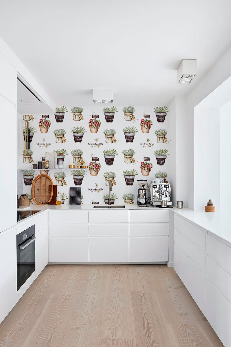 Papel pintado - Hierbas Aromáticas en Macetas