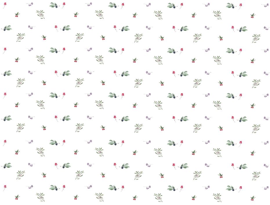 Papel pintado - Frutos Rojos