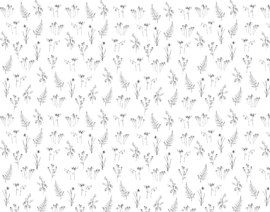 Papel pintado - Flores del bosque
